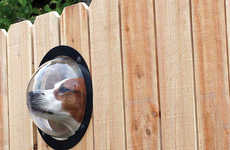 Spying Canine Orbs
