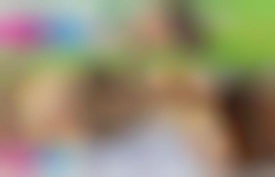 Cozy Companion Coffee Shops