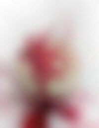 Spooky Blood-Spattered Sweets Image 1