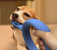 Teeth-Scrubbing Chew Toys Image 2