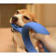 Teeth-Scrubbing Chew Toys Image 2