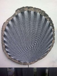 Tree-bound Weaving Image 3