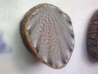 Tree-bound Weaving Image 5
