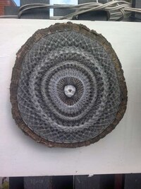 Tree-bound Weaving Image 8