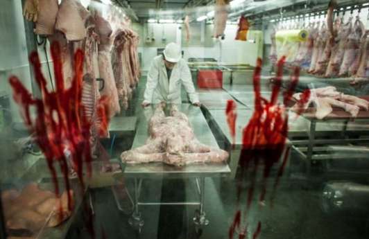 31 Haunted House Ideas