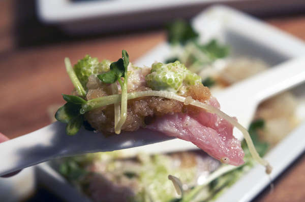 14 Avocado-Infused Recipes