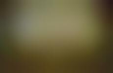 DIY Artistic Toddler Photography