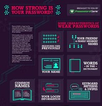 Online Anti-Theft Infographics