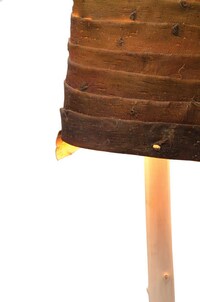Organic Wooden Lighting Image 3