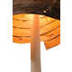 Organic Wooden Lighting Image 4