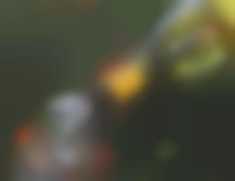 59 Christmas Gifts for Wine Lovers