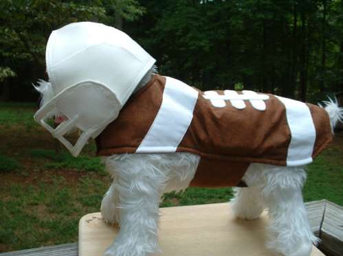 Athletic Pooch Outfits