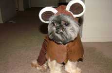 Adorably Dorky Doggies