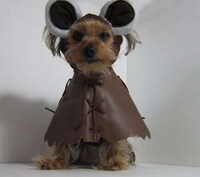 Adorably Dorky Doggies Image 3