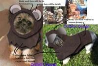 Adorably Dorky Doggies Image 4