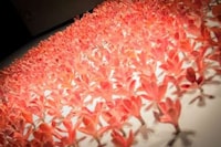 Flower-Exploding Sculptures Image 6