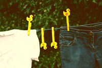 Cute Bird Target Clips Image 8