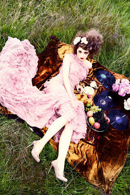 Extravagant Posh Picnics