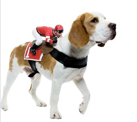 Saddled-Up Pooch Outfits