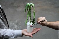 Lush Planter Receptacles Image 5