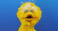 Big Bird Presidential Videos Image 3