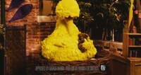 Big Bird Presidential Videos Image 6