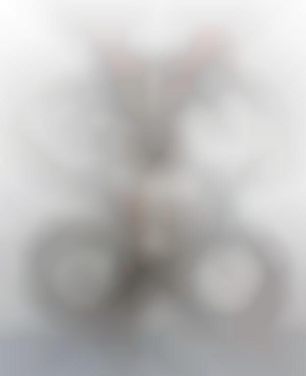 16 Minimalist Indoor Bike Racks