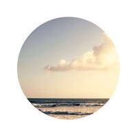 Minimal Magical Nature Prints Image 7