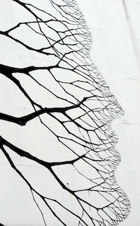 Majestic Tree People Murals Image 8