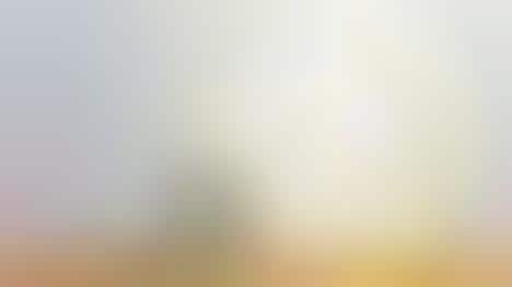 Holistic Home Lighting