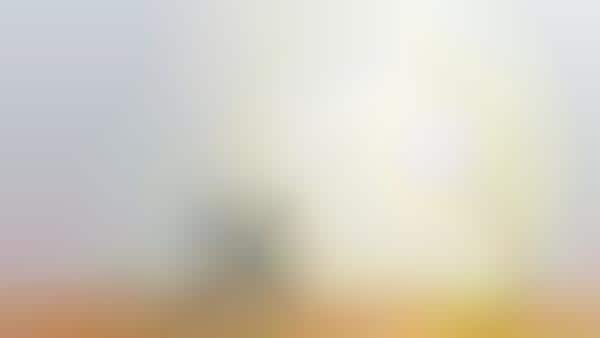 Holistic Home Lighting