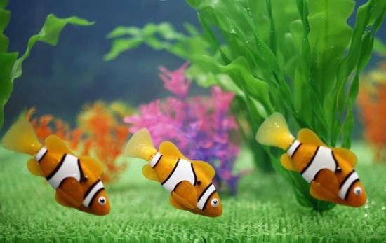 Carefree Robotic Pet Fish