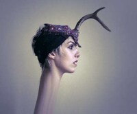 Modern Antler Head Accessories Image 4