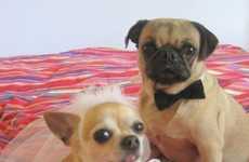 Matrimonial Pooch Ensembles