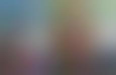 Industry Trend Reports for 2013