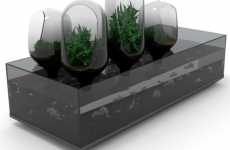 Refrigerator-Aquariums