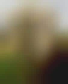 $2.72 Million Camels