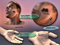 Dermal Displays Image 2
