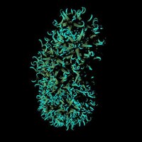 Computer Virus Paintings