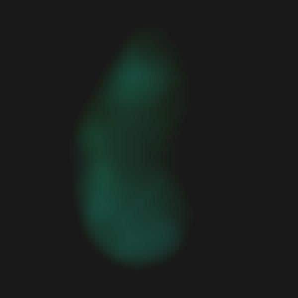 Computer Virus Paintings