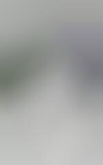 Language Learning 2.0