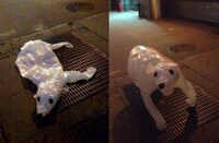 Inflatable Garbage Animals