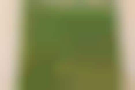 Eco-friendly Condoms