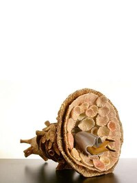 Ceramic Artist Megan Bogonovich Image 2