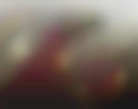 Animals of the Future