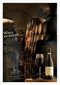Nudevertising for Wine Image 2