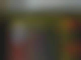 Crystal Ball of Flight Delays