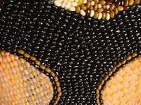 Jelly Bean Art 2 Image 3