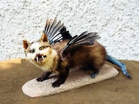 Fake Animals Image 3