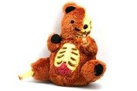 Skeletal Plush Toys